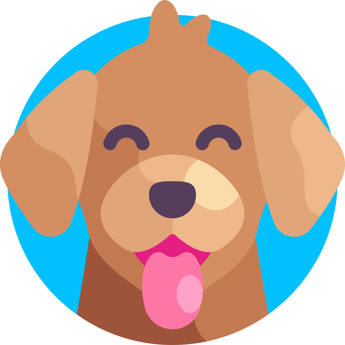 The Chinese horoscope for Dog