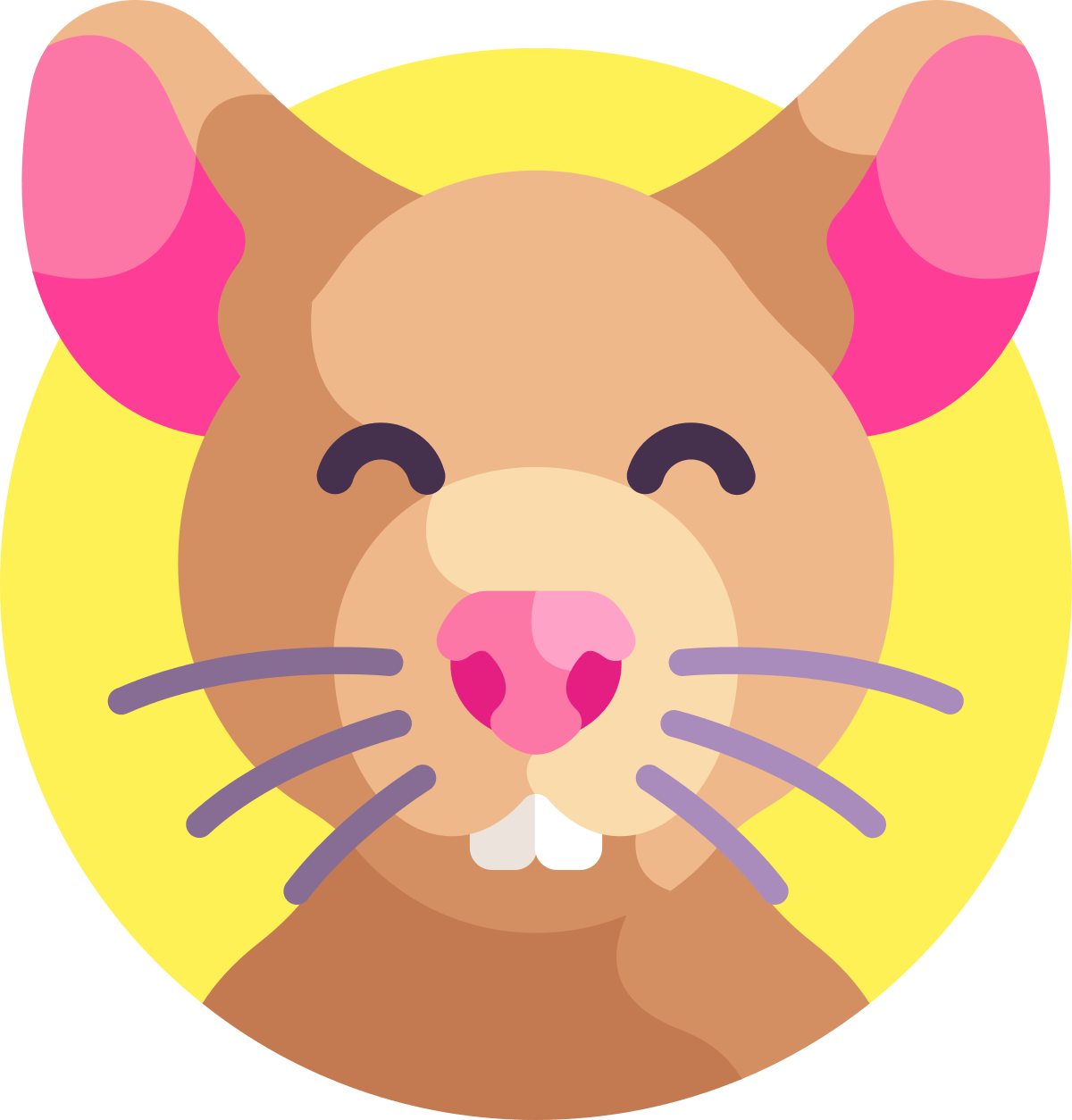 The Chinese horoscope for Rat
